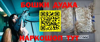 прущие грибы Комсомольск-на-Амуре