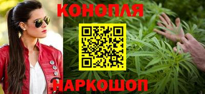 прущие грибы Комсомольск-на-Амуре